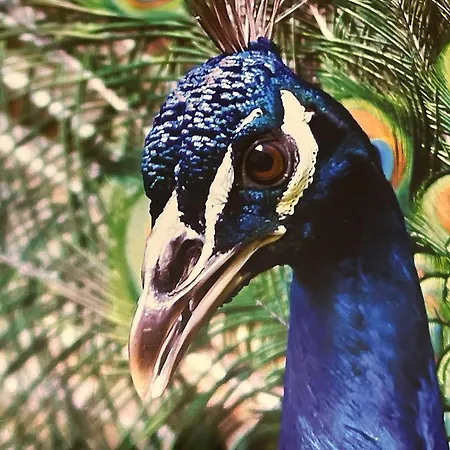 Familienwohnung Am Pfaffenteich شقة *