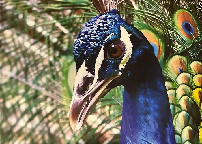 Familienwohnung Am Pfaffenteich Apartment *